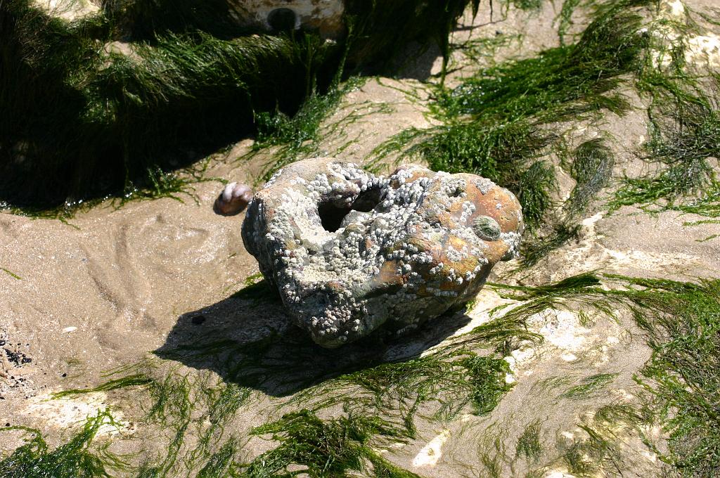 14-07-2008 161.jpg